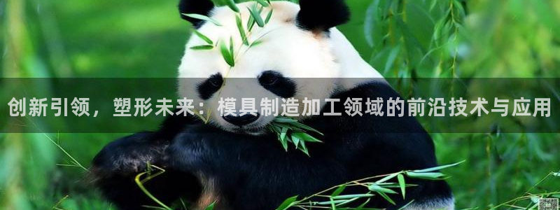 谈球吧中国官方网站