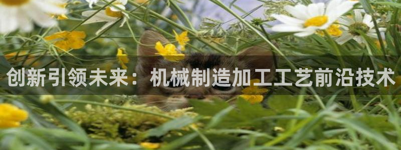 谈球吧是黑台子吗知乎