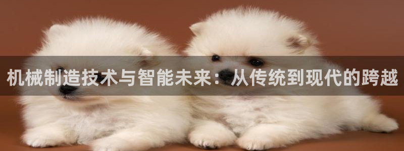 谈球吧的聊天软件有哪些