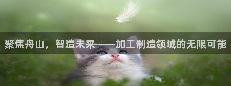 谈球吧体育app下载足球比赛直播