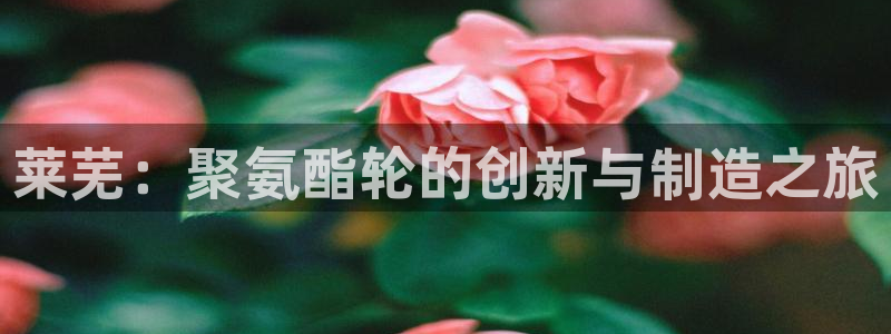 谈球吧账号有人收吗