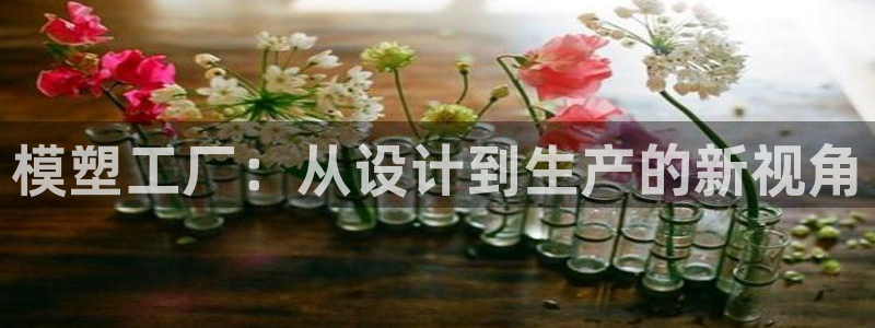 谈球吧在线观看