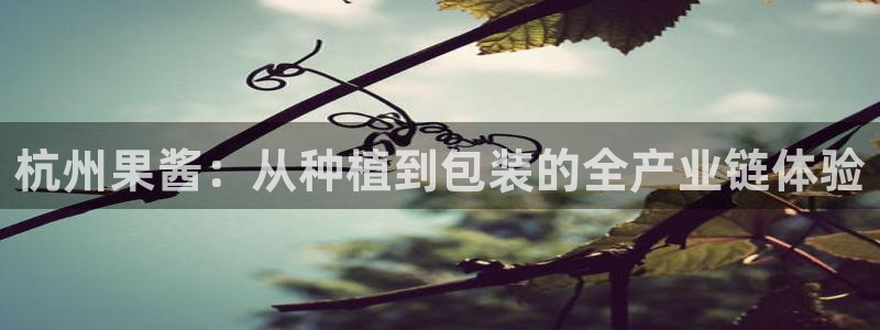 谈球吧官网在线入口免费观看视频网站