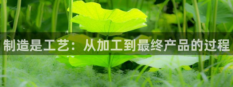 谈球吧平台正规吗可信吗知乎