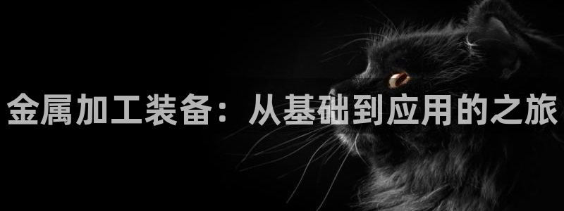 谈球吧体育app下载足球直播软件