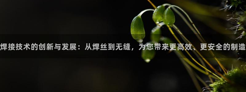 谈球吧体育app下载官网手机版