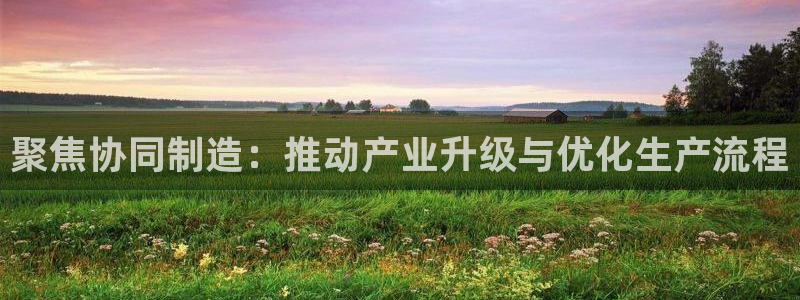 谈球吧体育官网入口