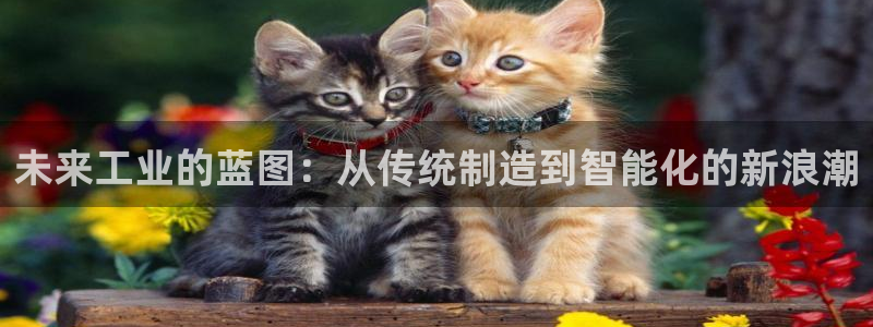 谈球吧官网首页